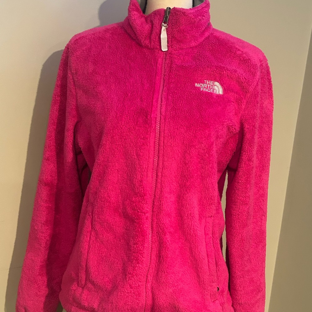 The North Face Vibrant Pink Fleece Jacket